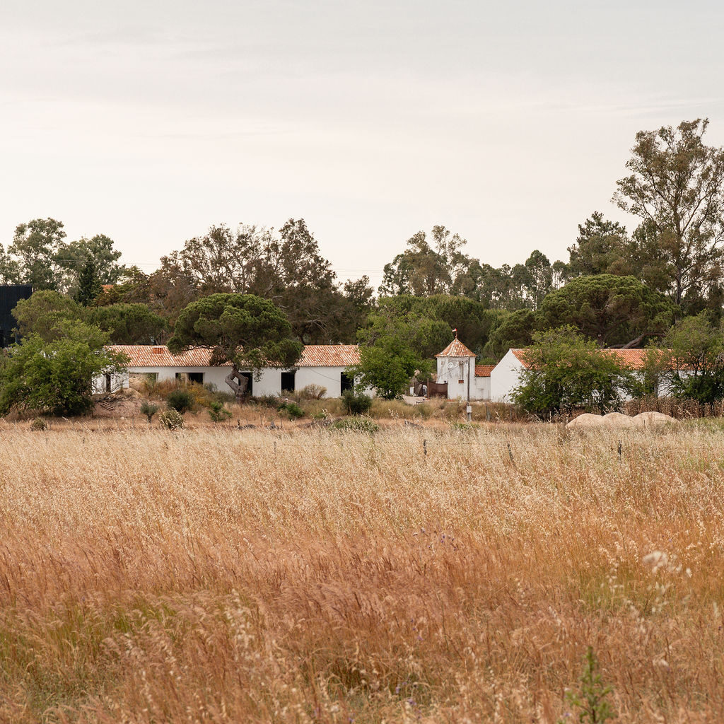 Wide view of Casas na Ferraria buildings set within open fields and trees.
